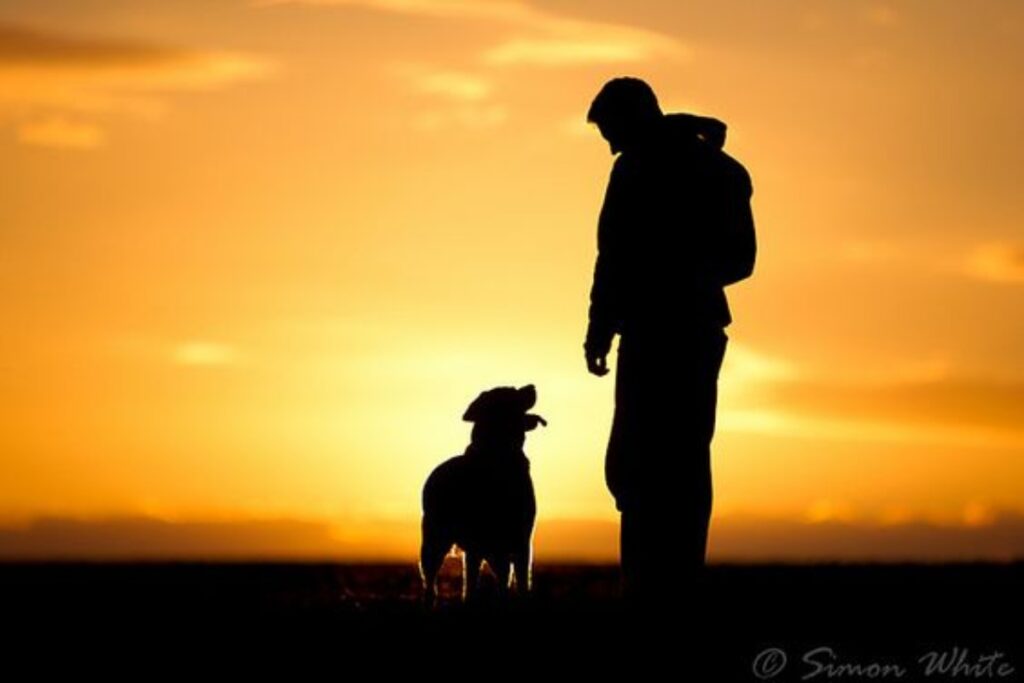 A picture of a Man and His Dog