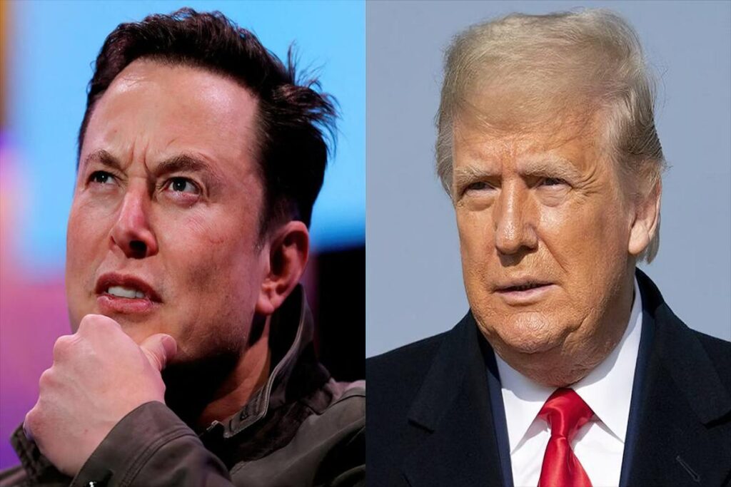 A Picture of Trump and Musk