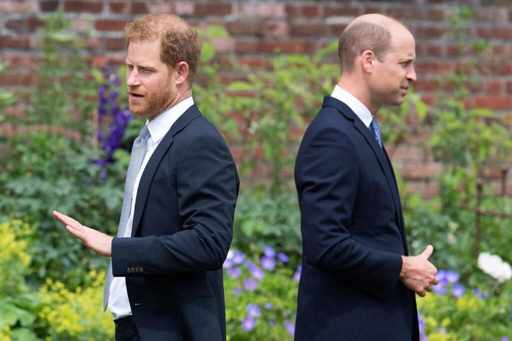 A Picture of Prince Harry and Prince Williams