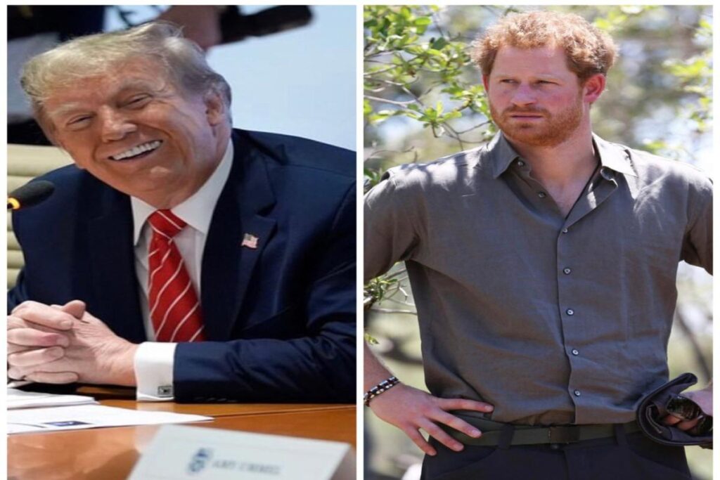 A picture of Prince Harry and Donald Trump