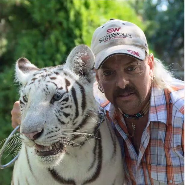 A Picture of Joe Exotic