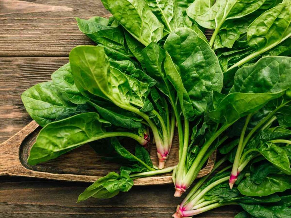 A Picture of Freshly Harvested Spinach