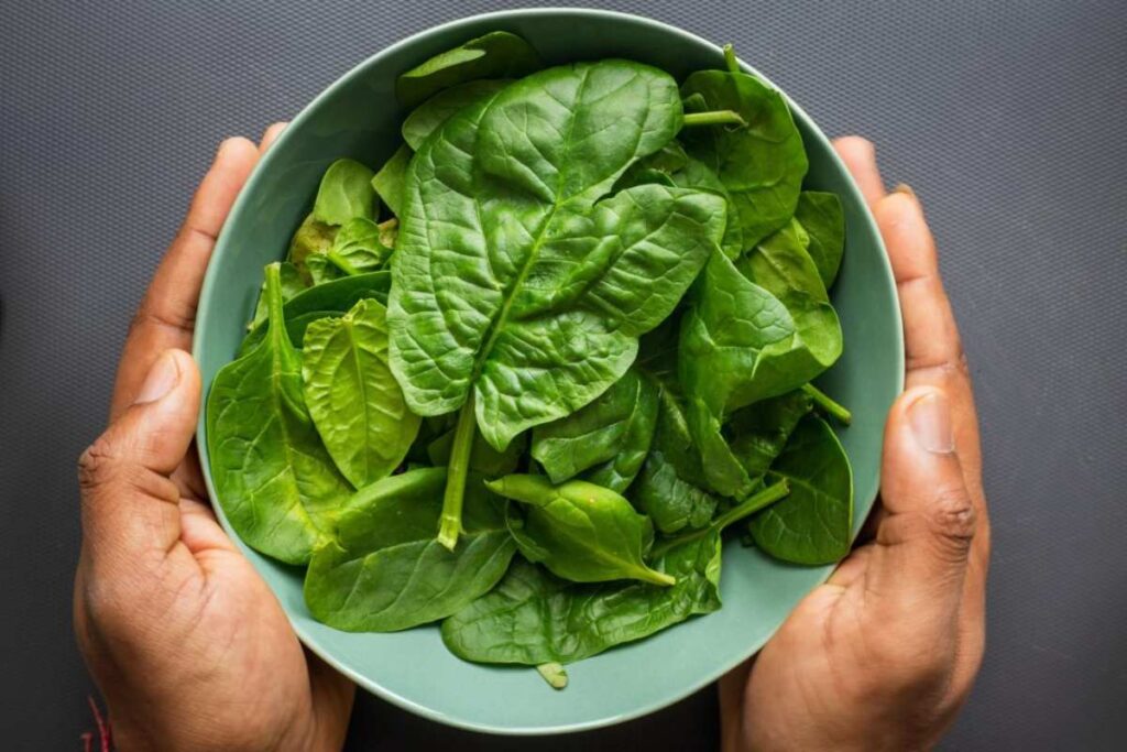 A Picture of Spinach Leaves in a Bow;