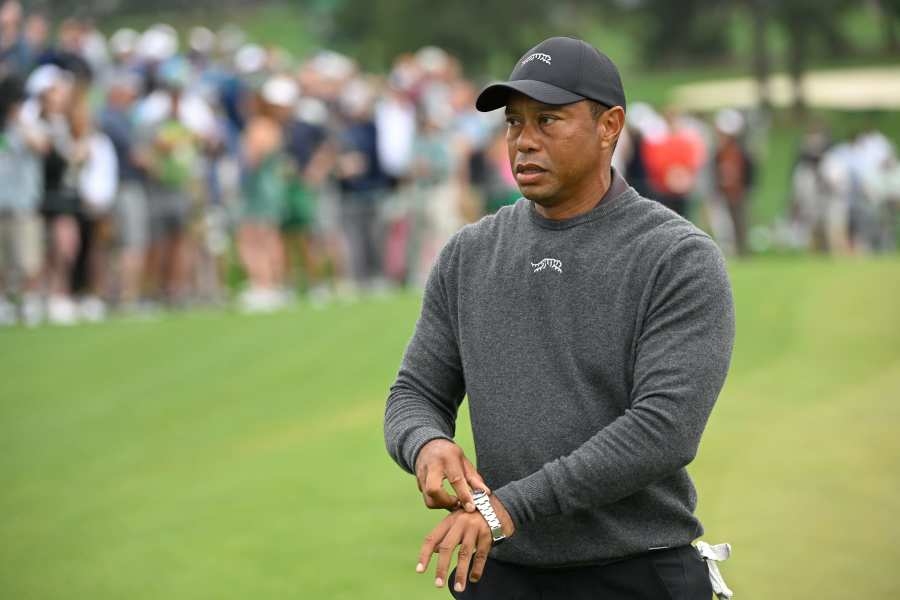 A Picture of Tiger Woods