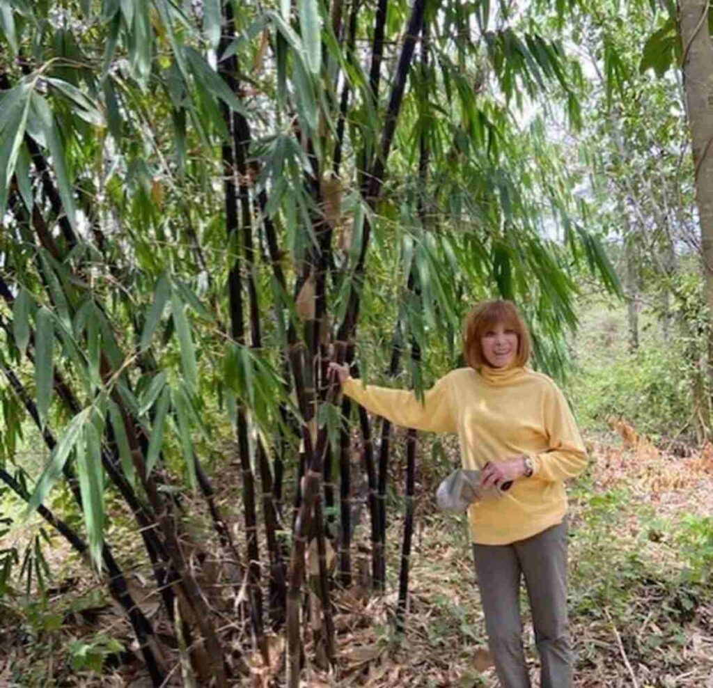 A picture of Stefanie Powers in Kenya