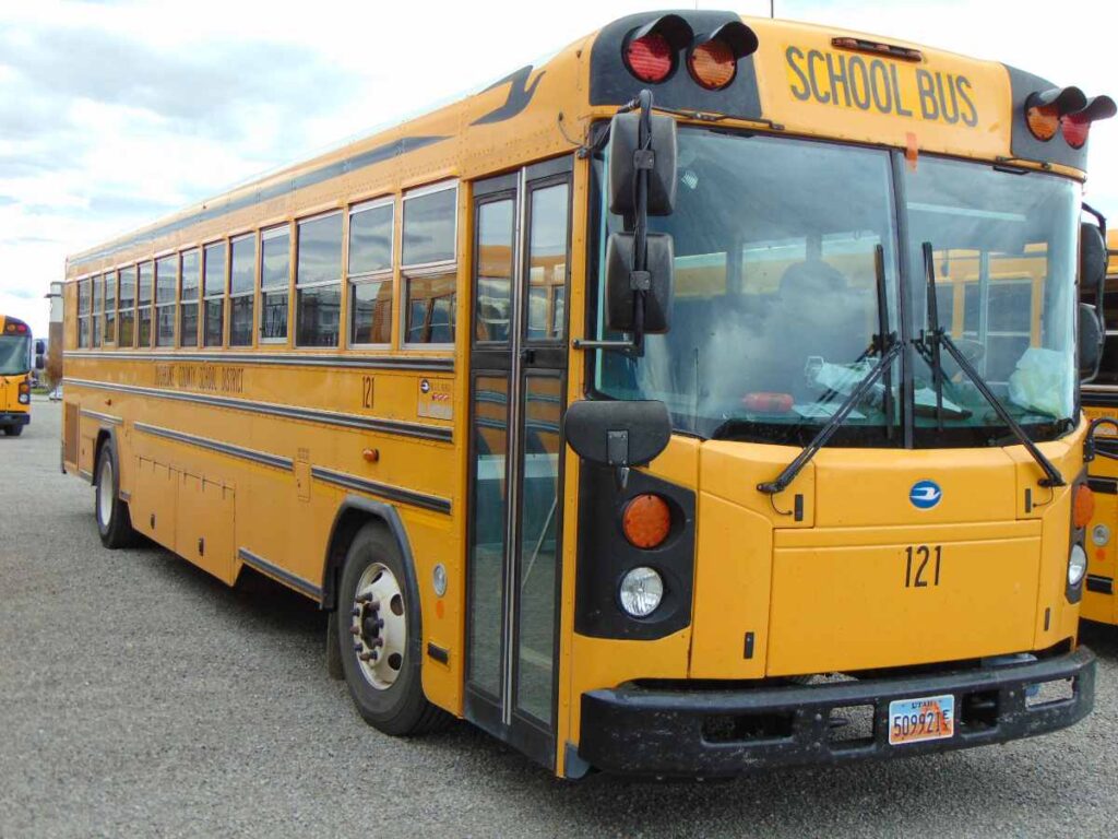 A Picture of a School Bus