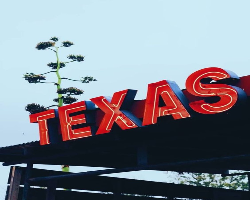 A picture of Texas sign post