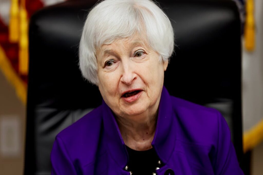 A Picture of Treasury Secretary Yellen