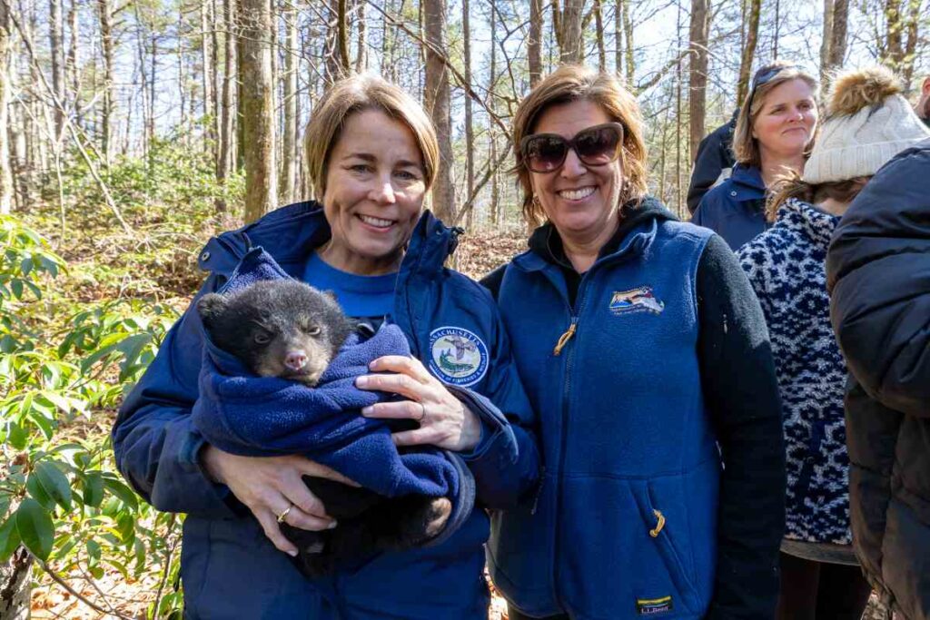 A Picture of Animal Scientists With a Bear