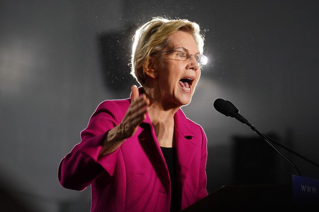 A Picture of Elizabeth Warren