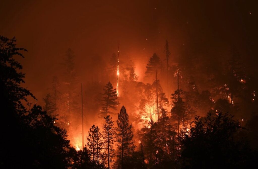 A Picture of California Wildfire