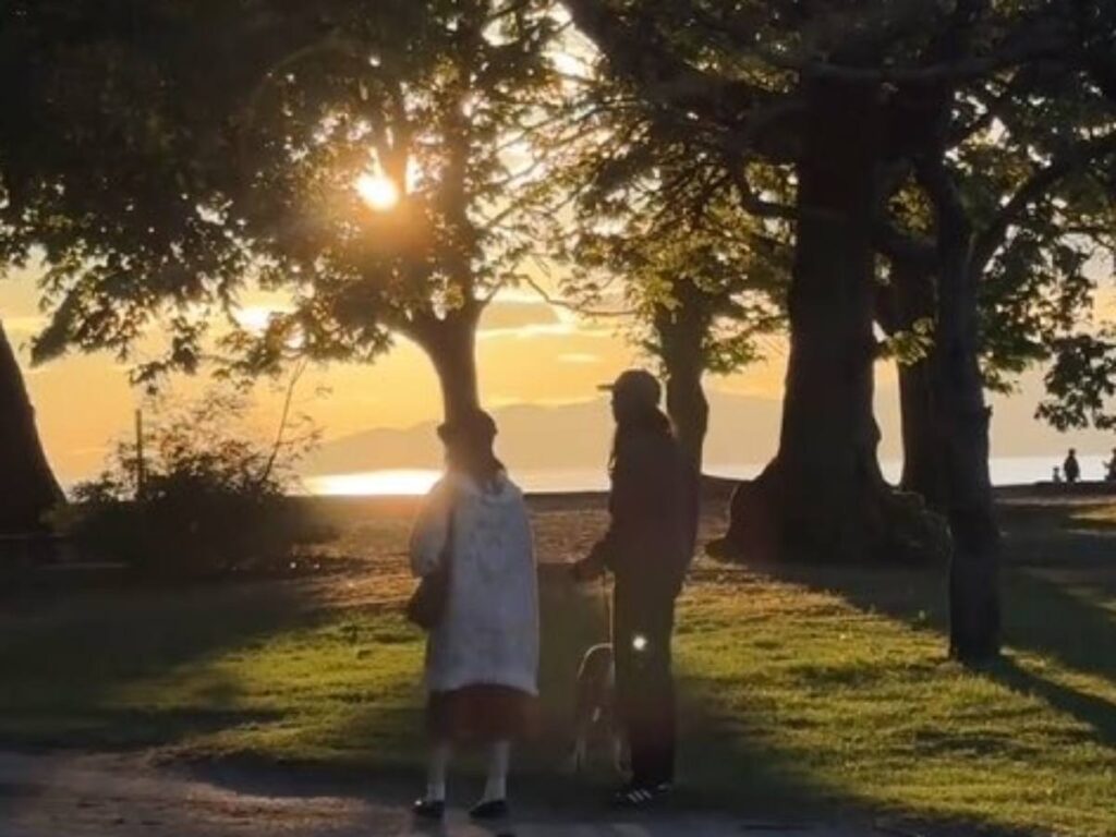 A Picture of an Elderly Couple