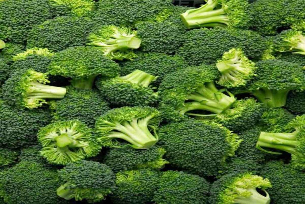 A picture of broccoli