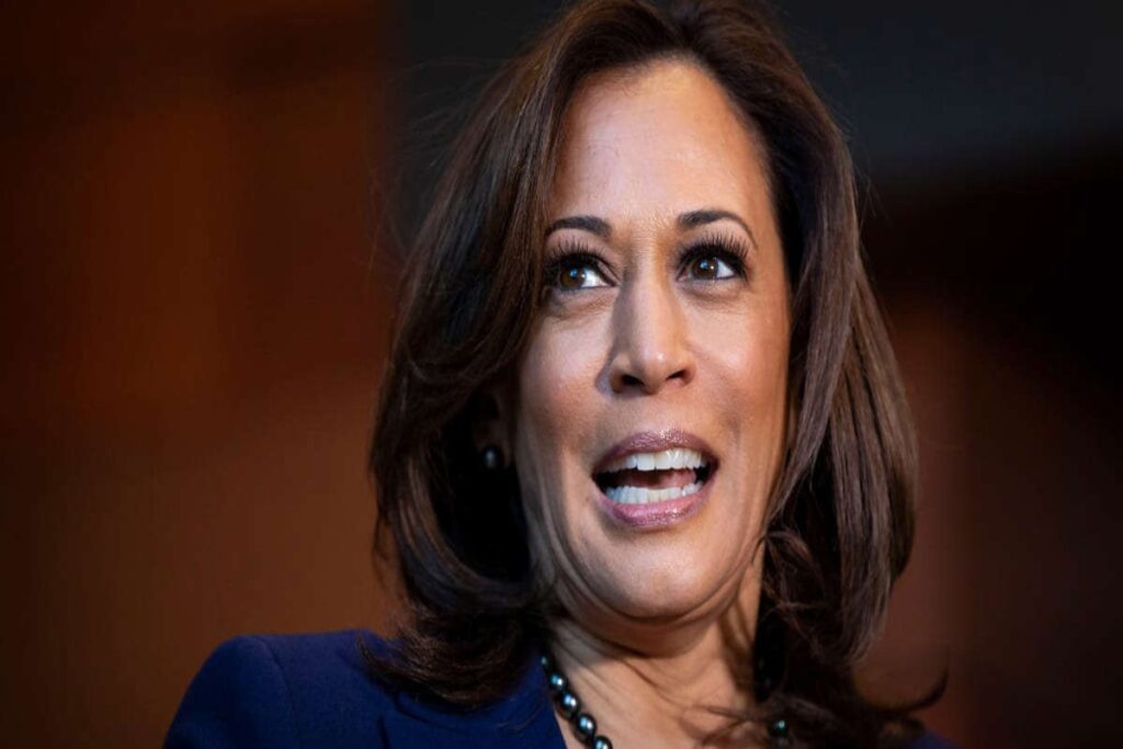 A Picture of Kamala Harris