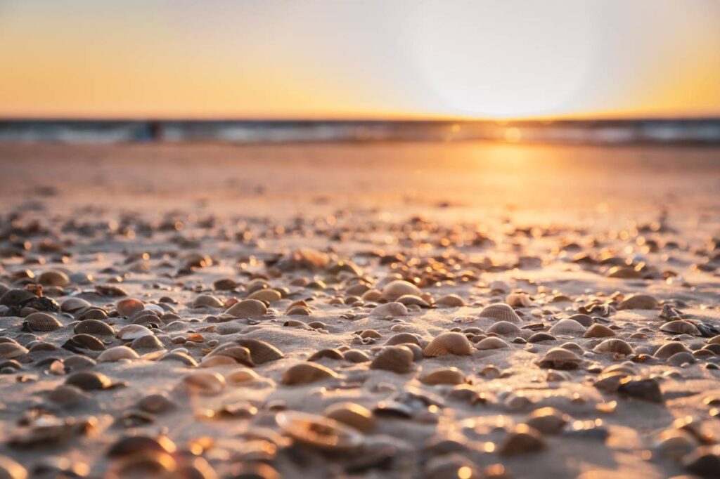 A Picture of a Dreamy Beach Resort 