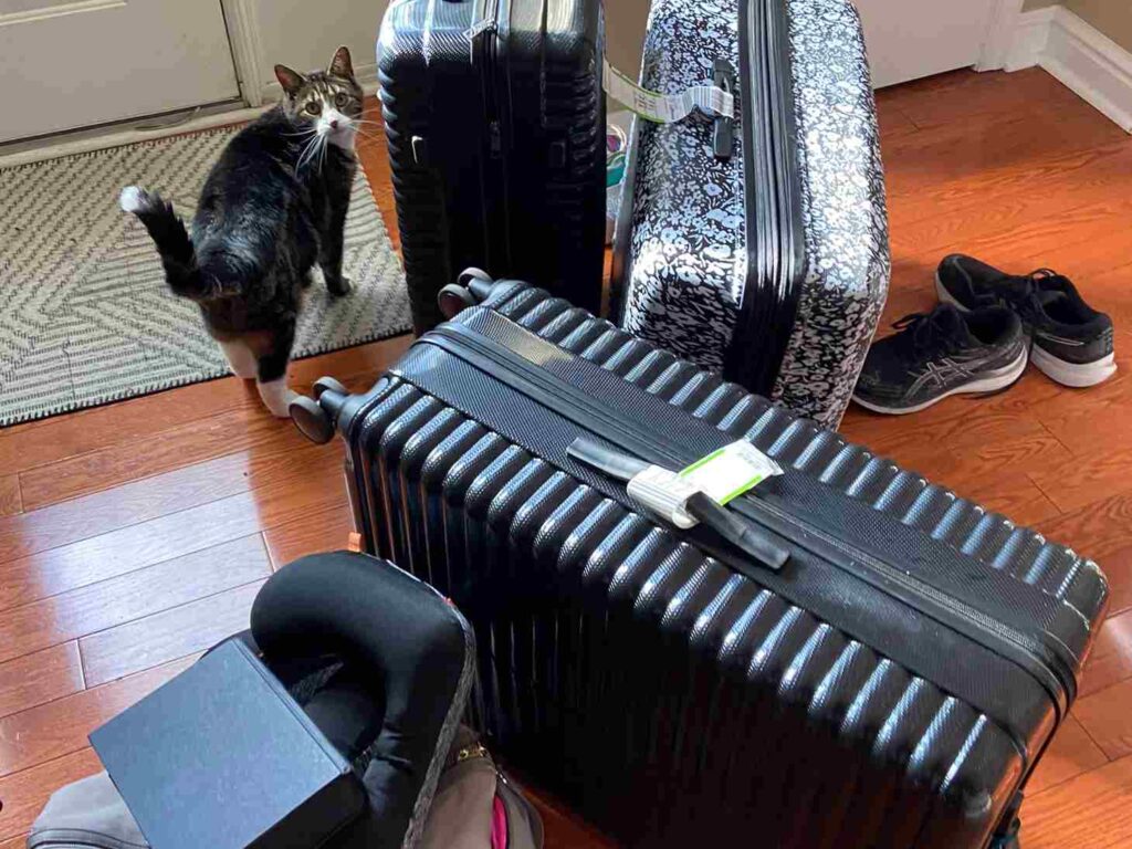 A Picture of Suitcases