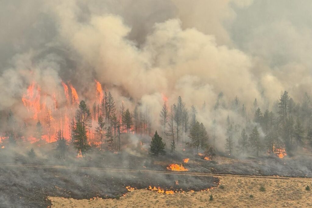 A Picture of a land destroyed by the Oregon wildfires