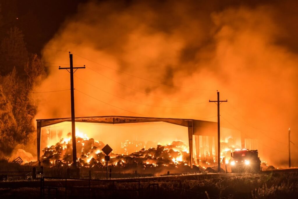 A Picture of a land destroyed by the Oregon wildfires