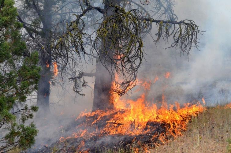 A land destroyed by the Oregon Wildfires 