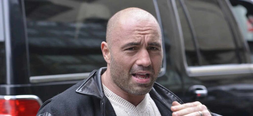 A Picture of Joe Rogan