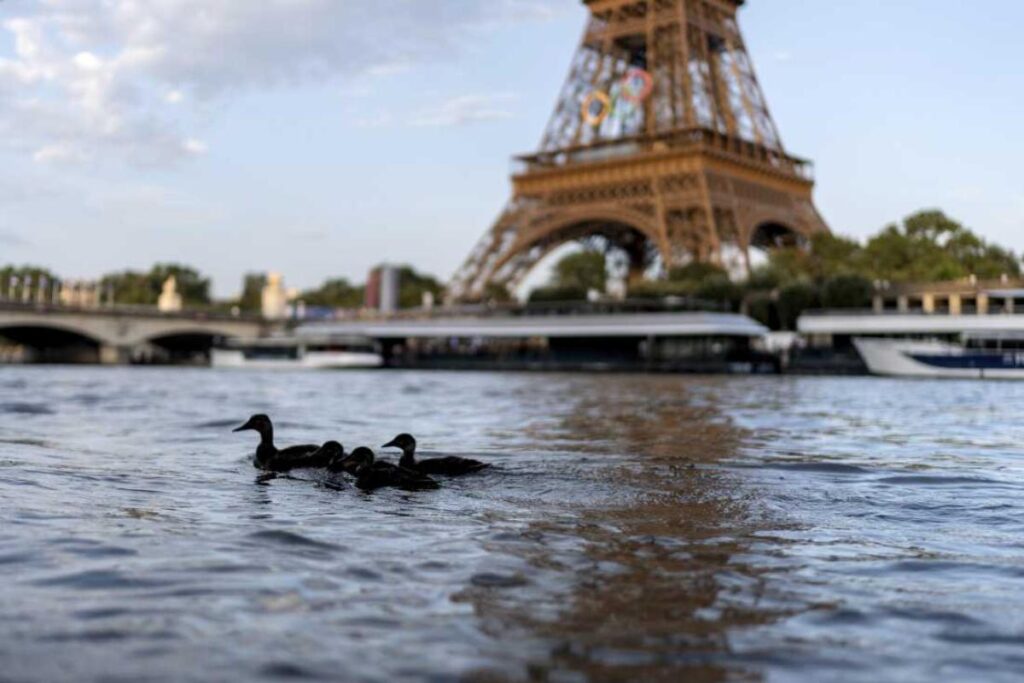 A Picture of River Seine