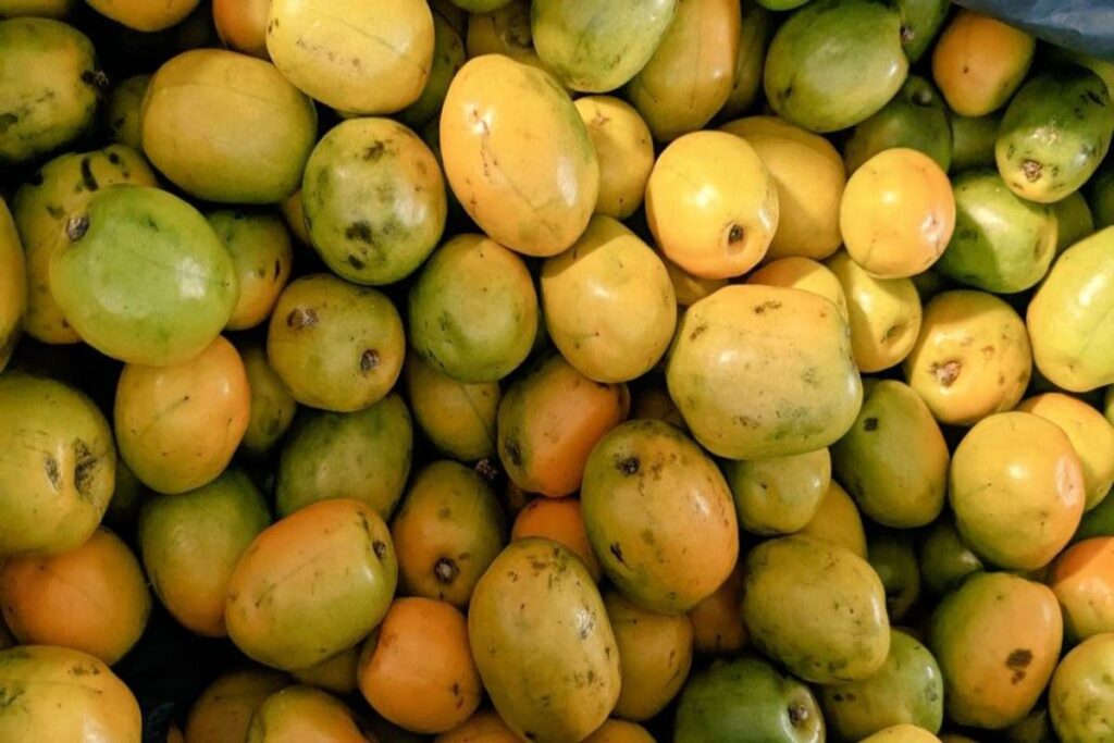 A Picture of Mangoes