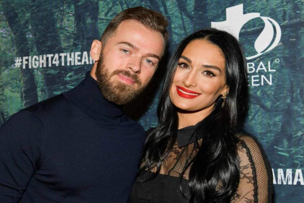 A Picture of Nikki Garcia and Artem Chigvintsev