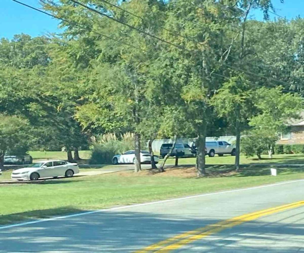 A Picture of Police Vehicles