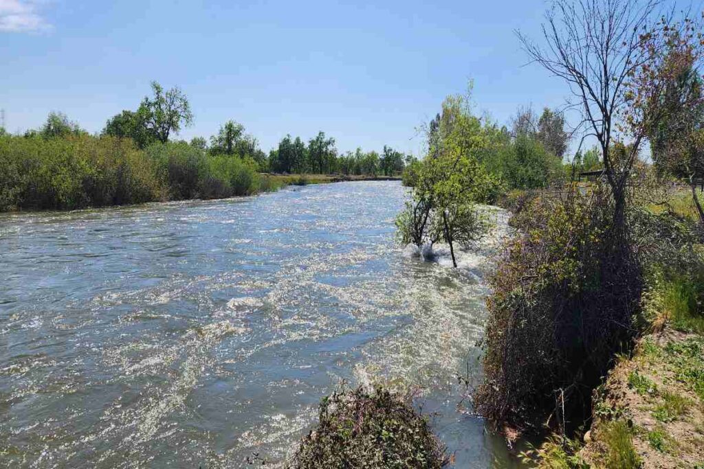 A Picture of Kings River Where Mary Marshall Drowned