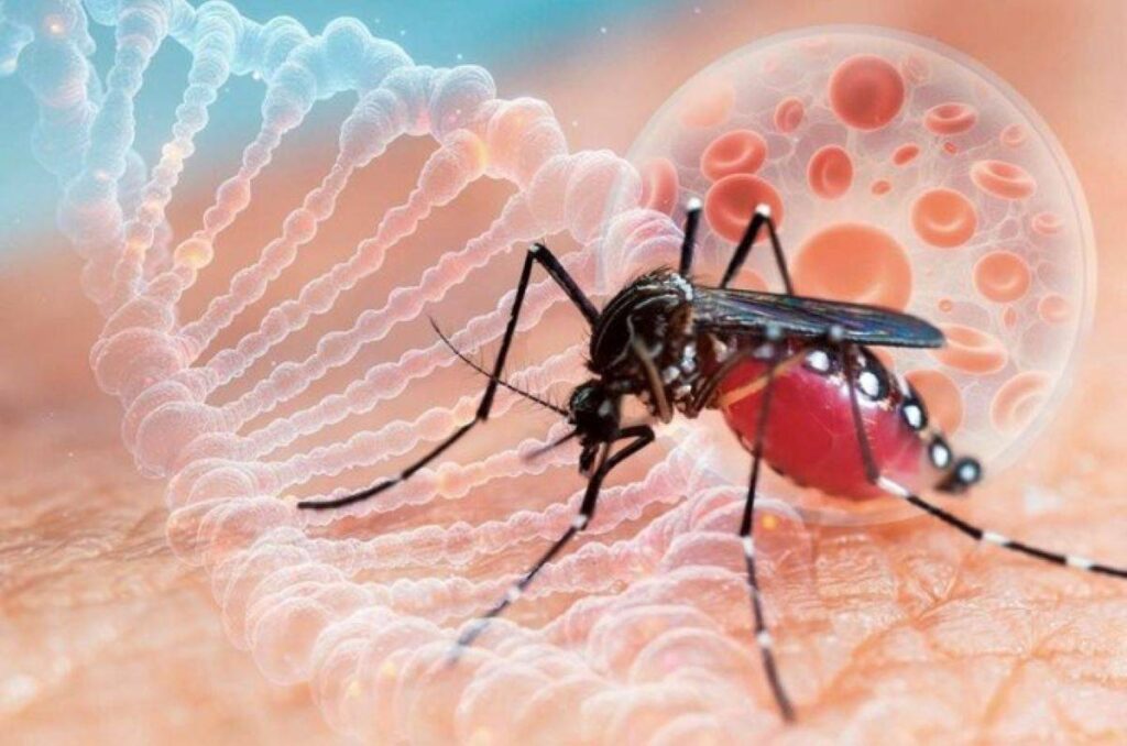 A mosquito on skin set against a translucent image of the dna