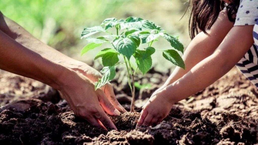 An adult and a child tree planting