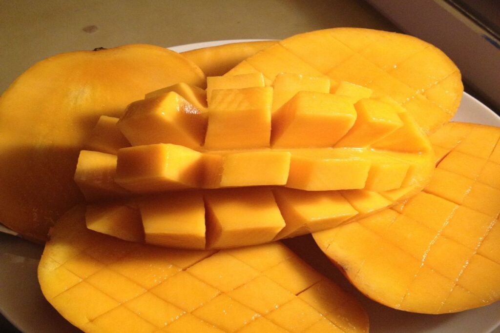 A Picture of the Mango Fruit